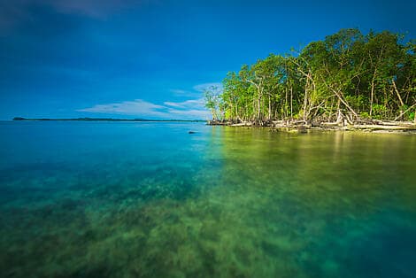 15 Janv 26 - Îles Mentawaï, Sumatra