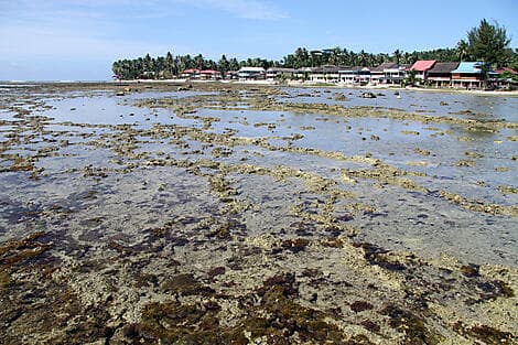 16 Janv 26 - Pulau Nias, Grandes îles de la Sonde