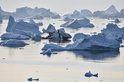 29 Avr 27 > 30 Avr 27 - Exploration de la mer de Baffin