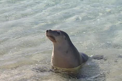 7 Août 27 - Parc marin de Jurien Bay
