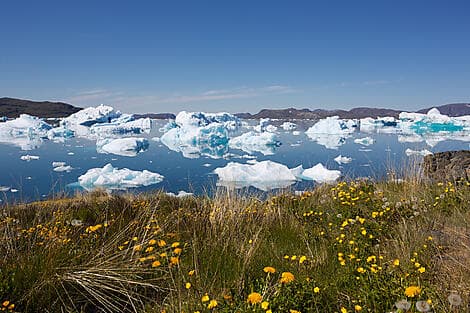 26 Juil 26 - Fjord de Narsaq
