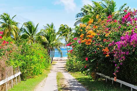 7 Avr 27 - Charlestown, Nevis
