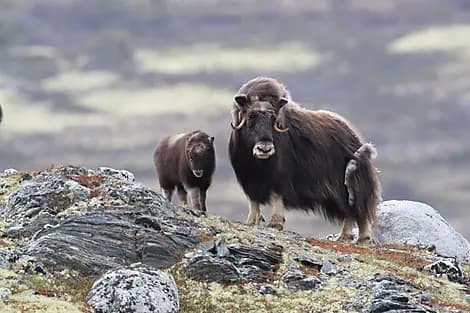 5 Sept 27 - Port Leopold, Nunavut