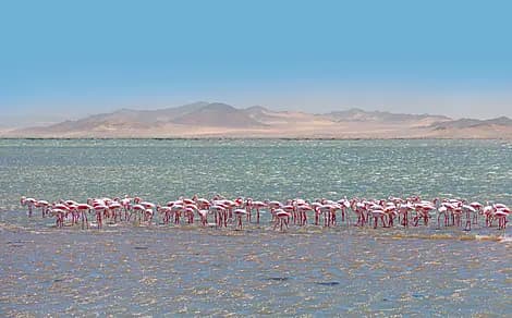 29 Mars 26 - Walvis Bay