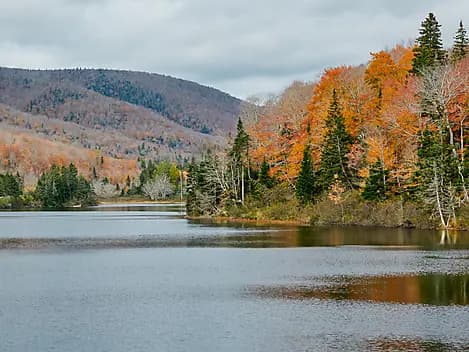 14 Févr 27 - Exploration du fleuve Saint-Laurent