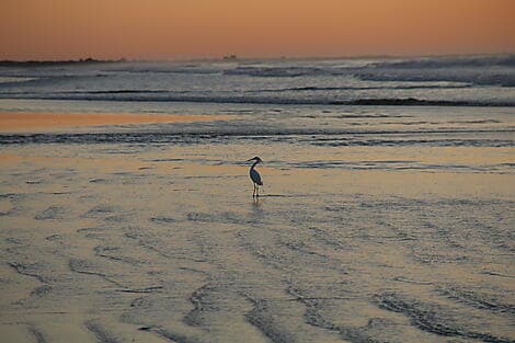 19 Mars 27 - Rio Grande