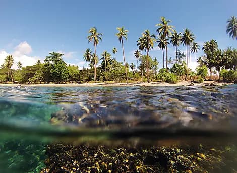 26 Févr 27 - Lata, îles Santa Cruz