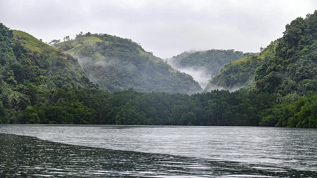 CAIRNS, À L'ORÉE DE LA FORÊT TROPICALE AUSTRALIENNE (1 NUIT)