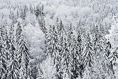 NATURE FINLANDAISE ET CULTURE NORDIQUE À HELSINKI (1 NUIT)
