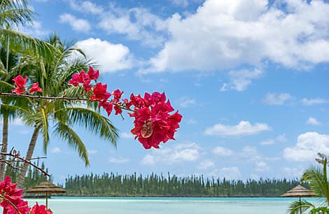 DÉTENTE ET DÉCOUVERTE DE NOUMÉA (1 NUIT)