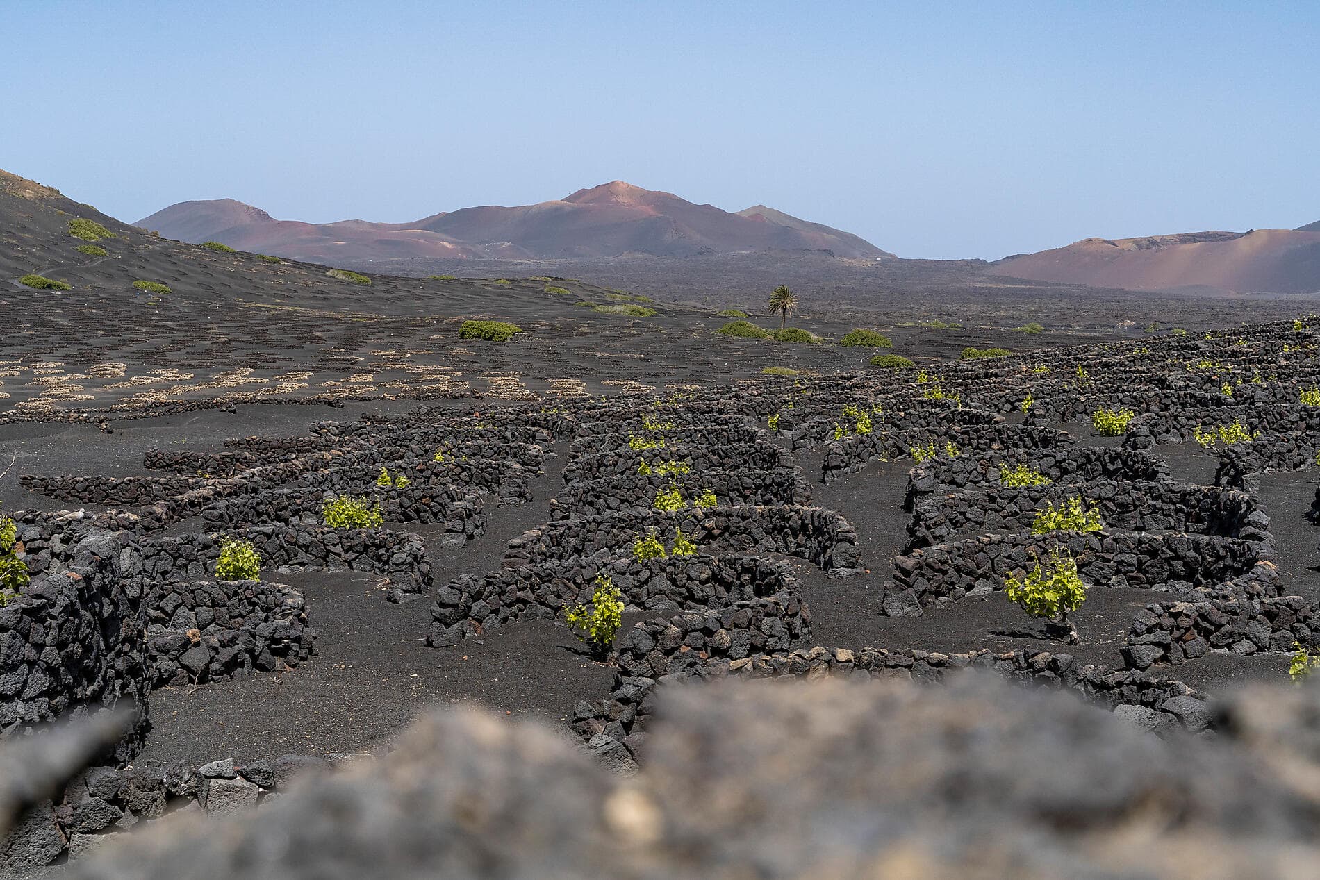 Îles volcaniques et cités historiques de l’Atlantique Nord 