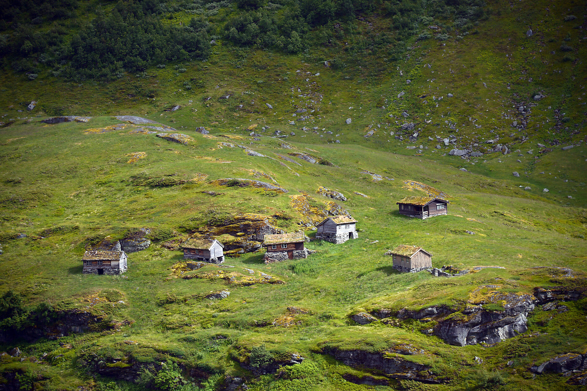 Fjords norvégiens 