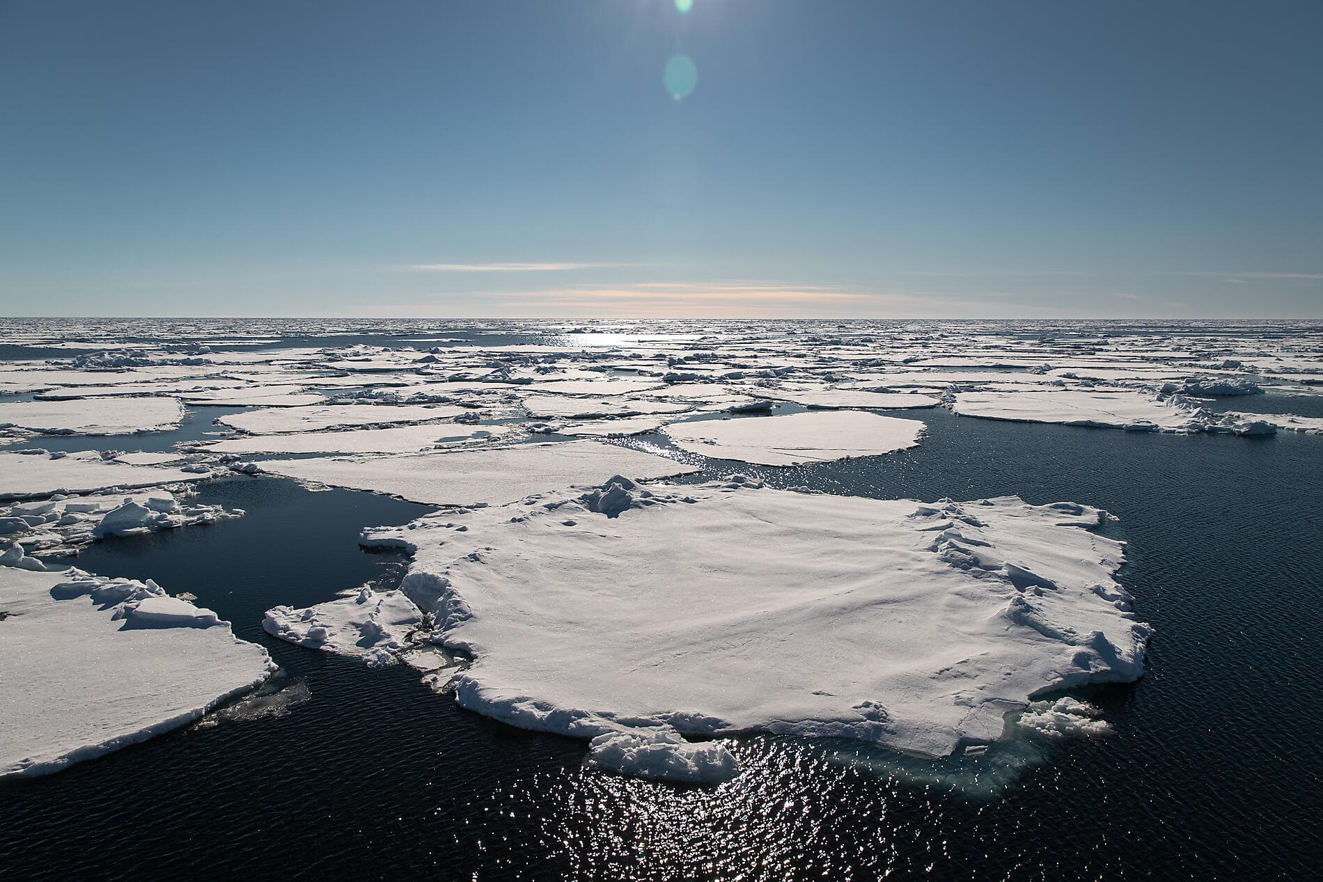 Au cœur des glaces de l'Arctique, du Svalbard au Groenland 