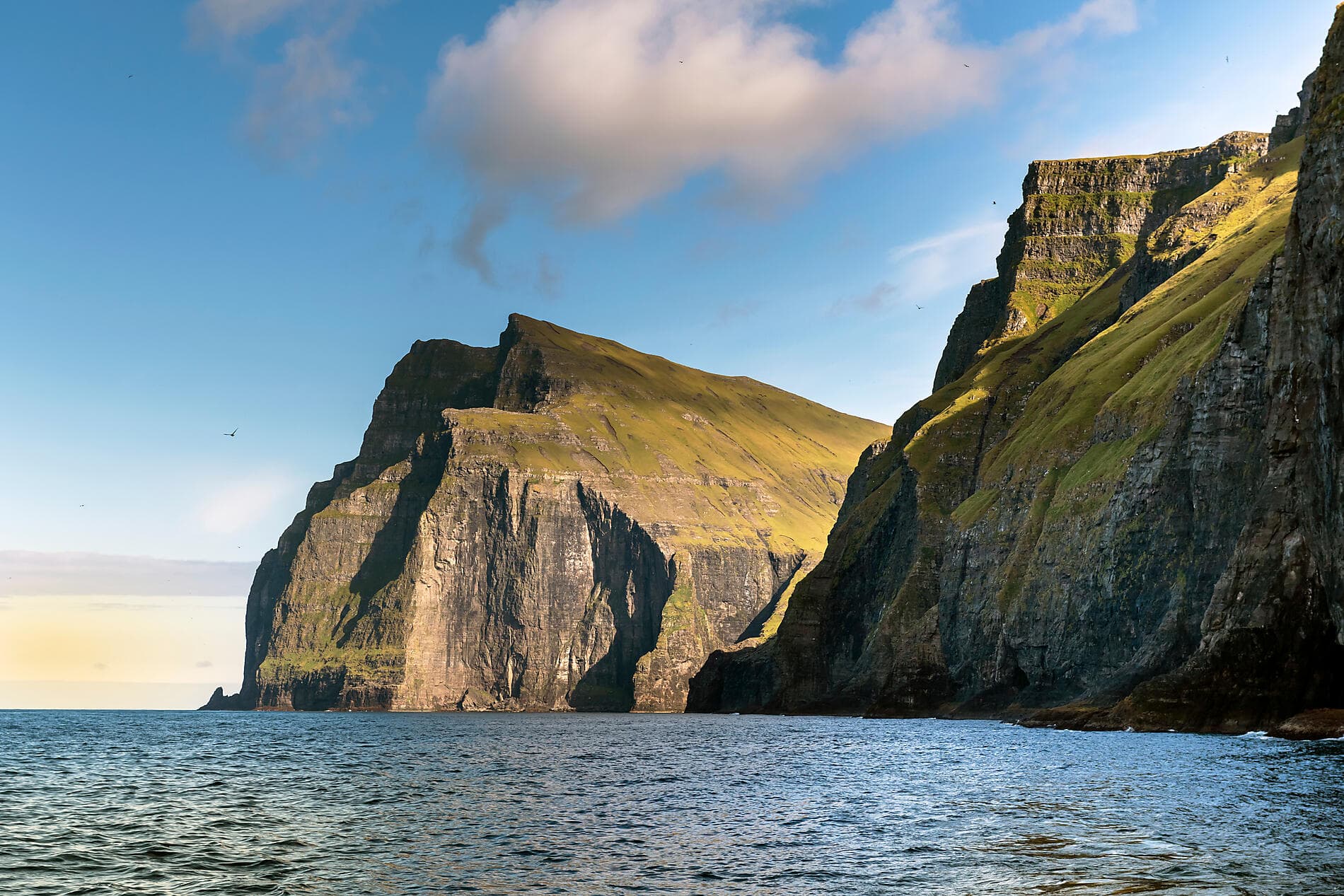 Territoires sauvages d’Écosse, des îles Féroé et d’Islande	 