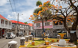 Jardins botaniques de Nevis et farniente sur la plage