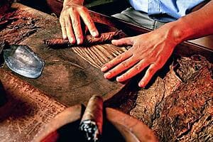 Traditions dominicaines : Rhum & Cigares
