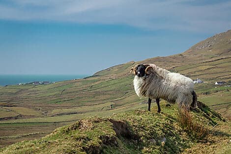 16 Mai 27 - Clare Island