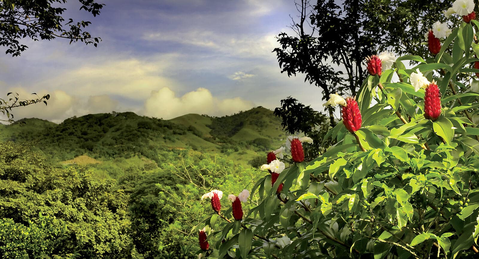 Canal de Panama et joyaux d'Amérique centrale  
