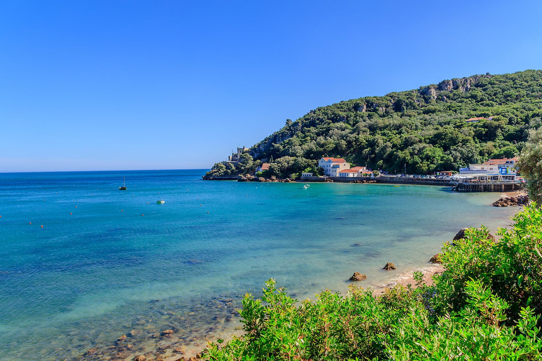 Îles volcaniques et cités historiques de l'Atlantique Nord