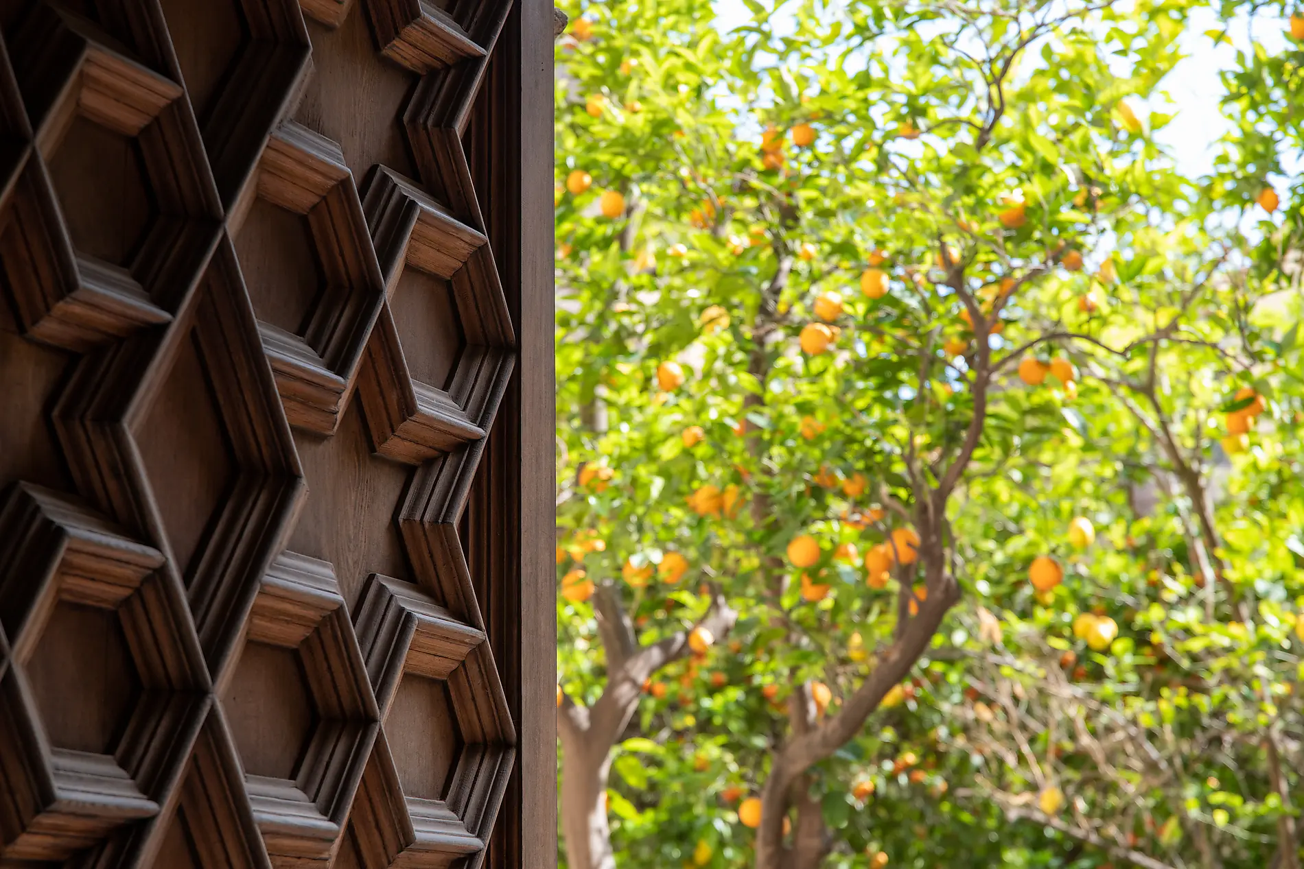 Trésors de la Méditerranée occidentale 