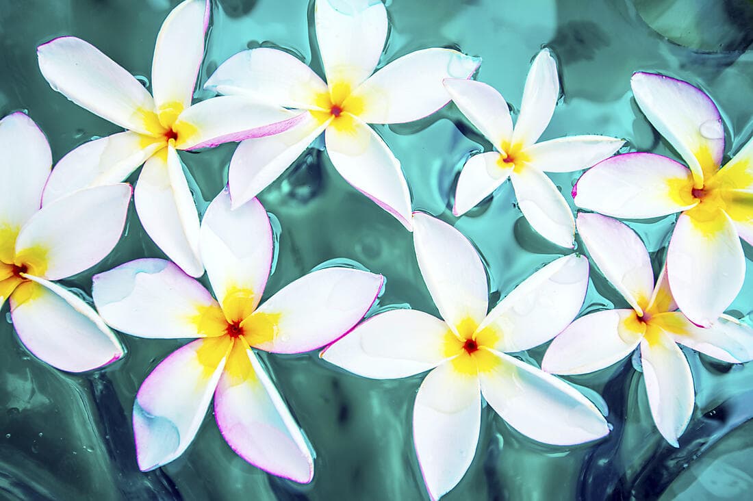 Détente tahitienne (1 nuit)