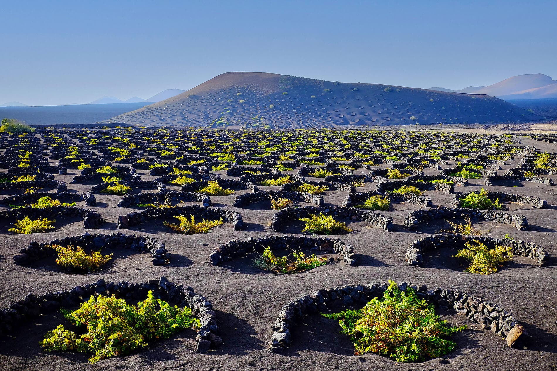 Canaries, Maroc et Portugal 