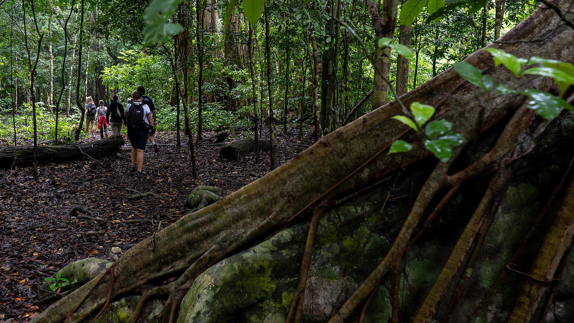 Îles, villes et volcans d’Indonésie  