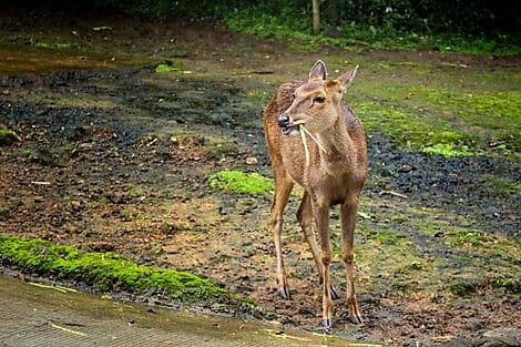 12 Juin 27 - Île de Baewan