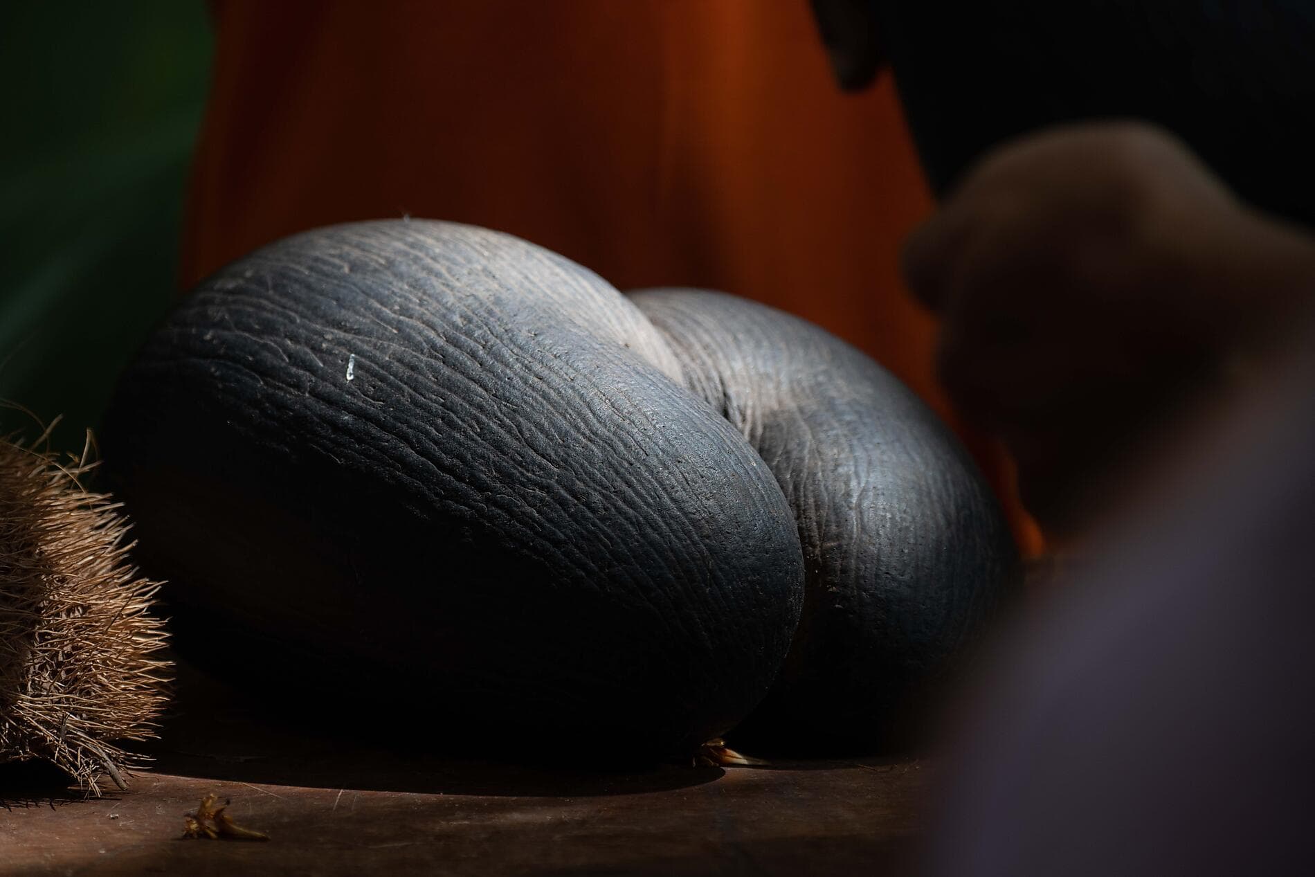 L’essentiel des Seychelles 