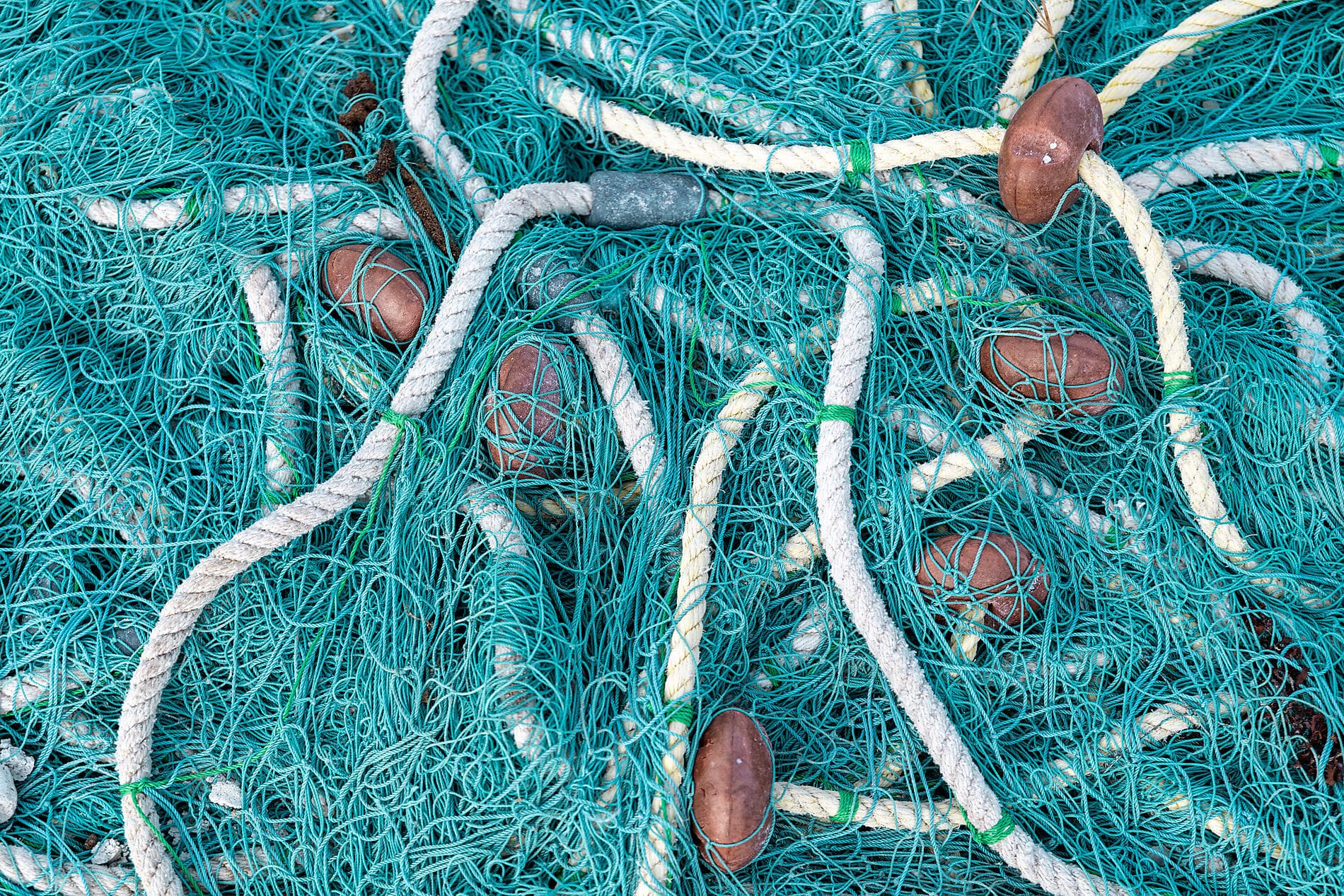 Les îles du Vent à fleur d’eau 