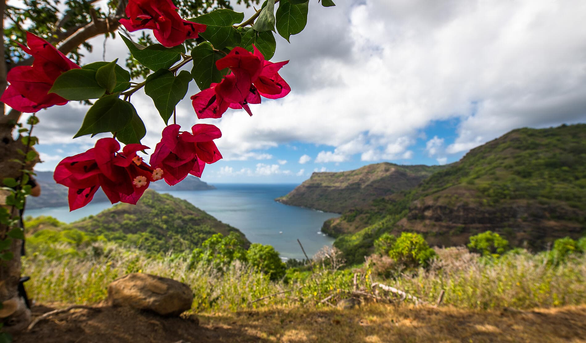 Douceur polynésienne : Marquises et Tuamotu 