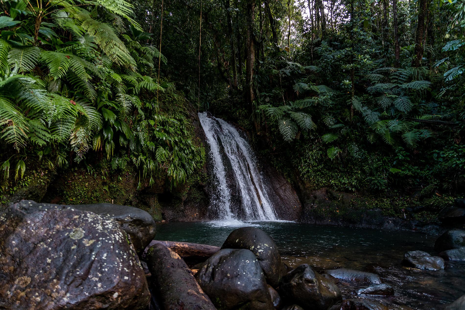 Joyaux secrets des Petites Antilles