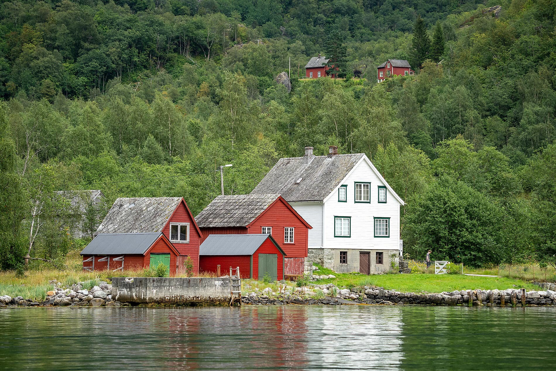 Fjords norvégiens
