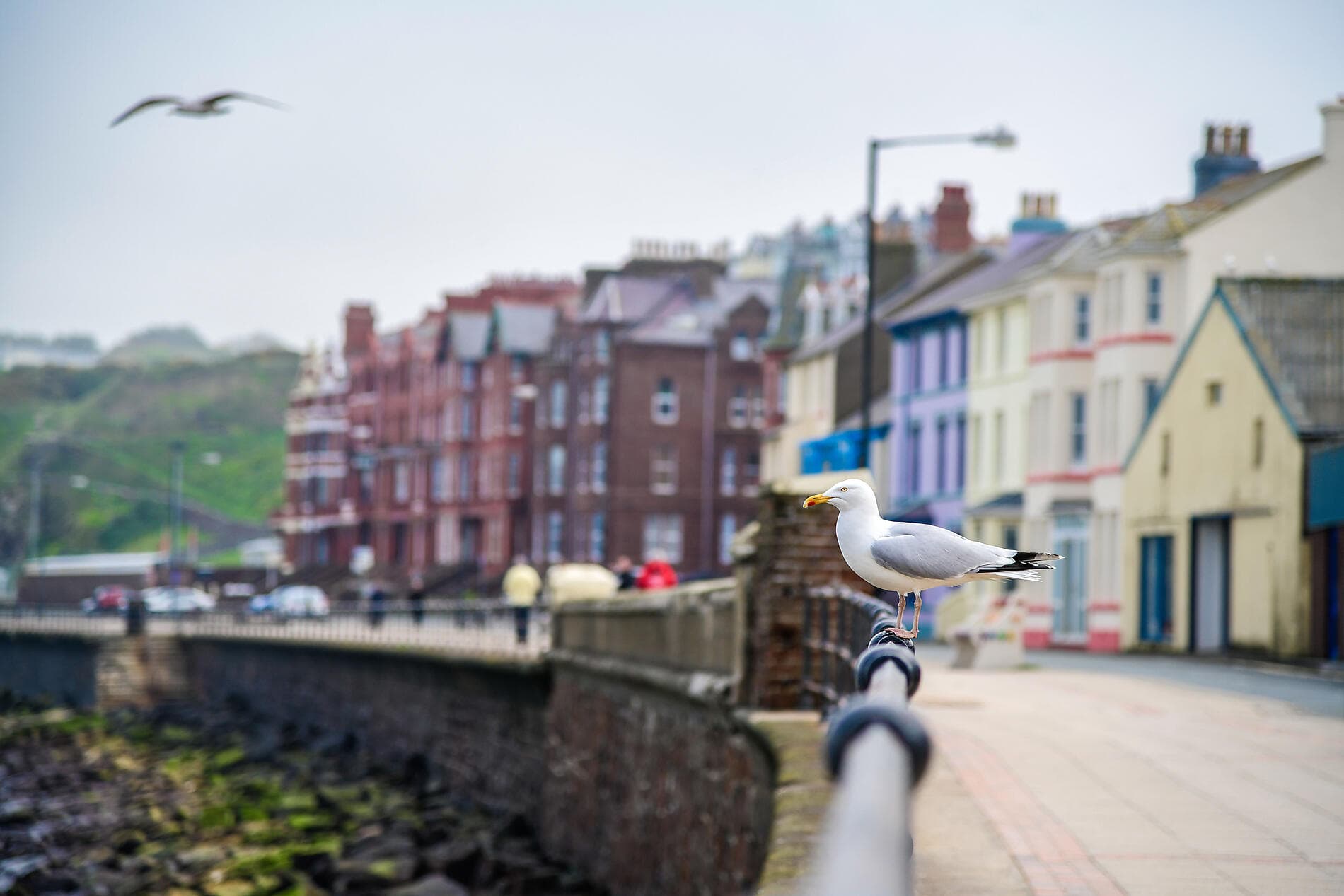 De l’Écosse à l’Irlande : voyage en terres celtiques