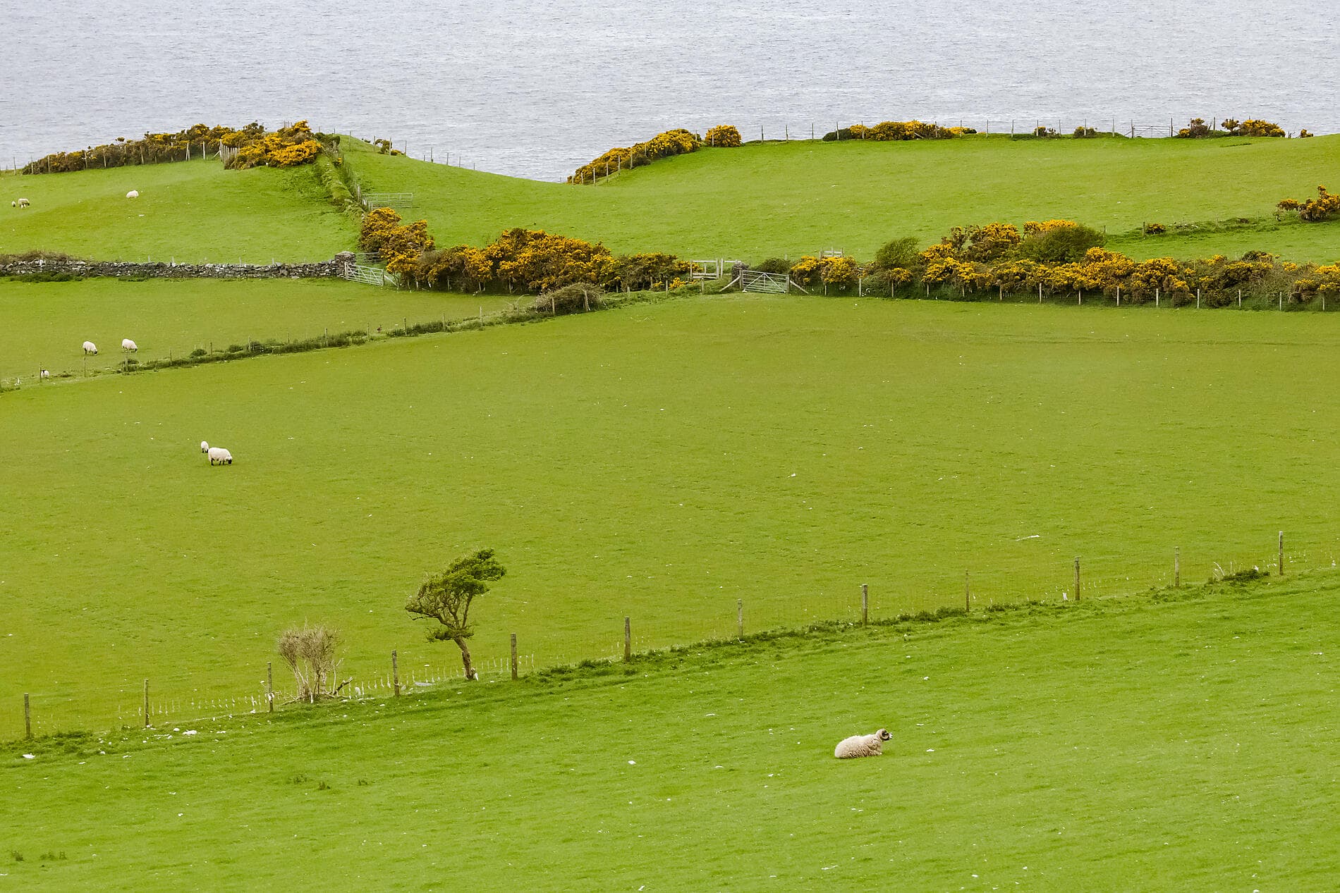 De l’Écosse à l’Irlande : voyage en terres celtiques