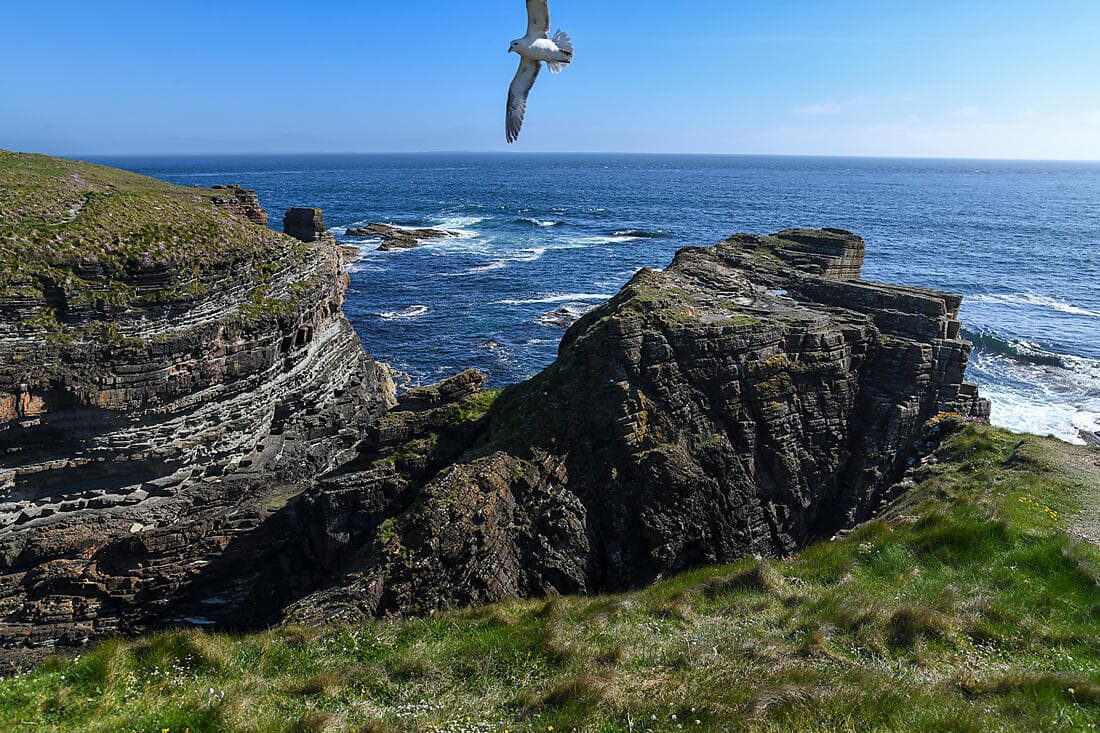 Écosse sauvage et îles mythiques
