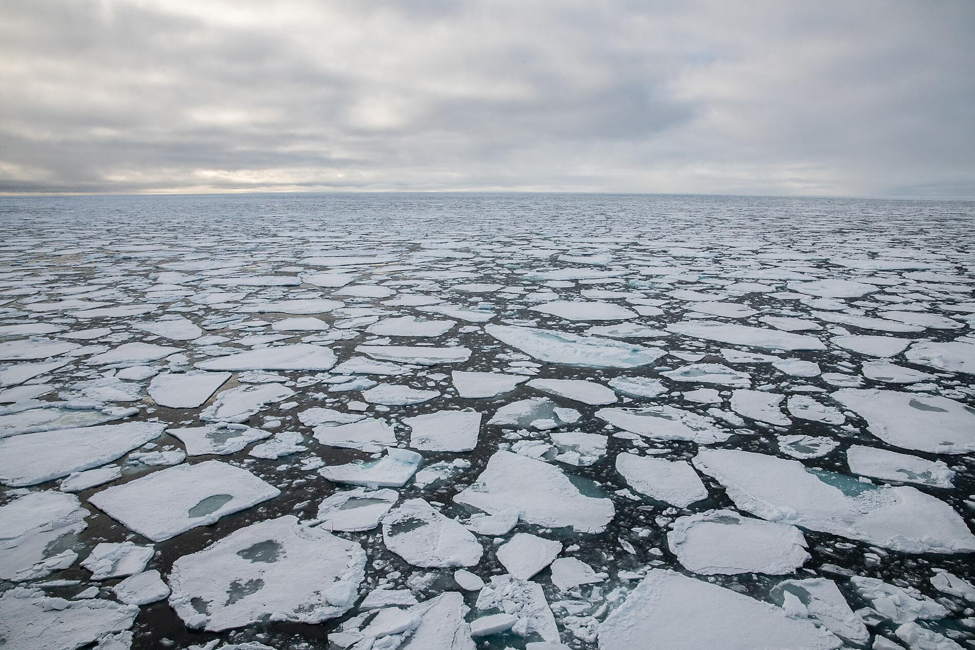 Le pôle Nord géographique et côte est du Groenland 