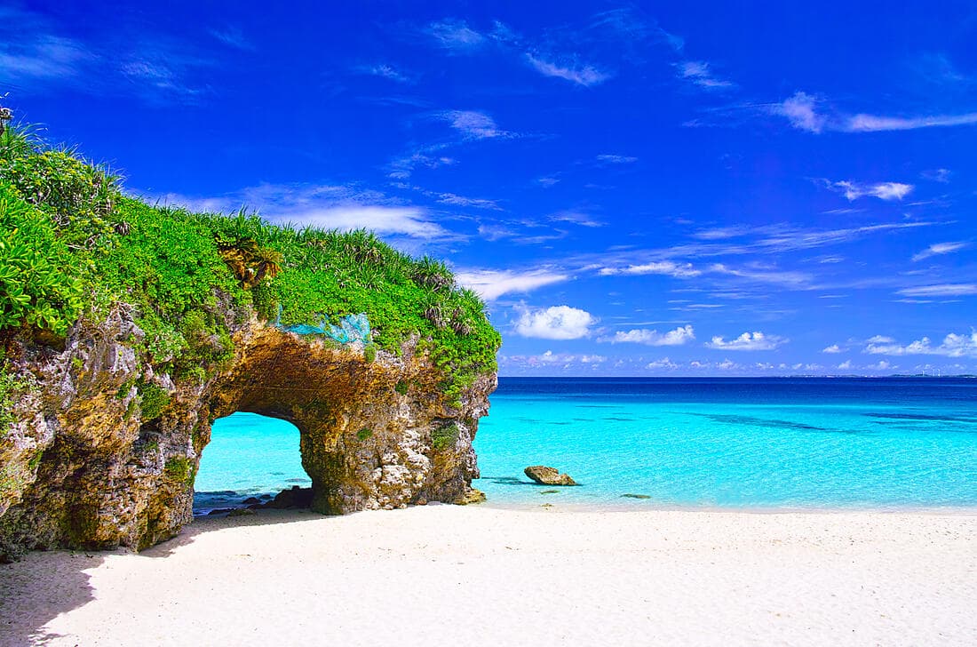Odyssée au cœur des îles subtropicales du Japon