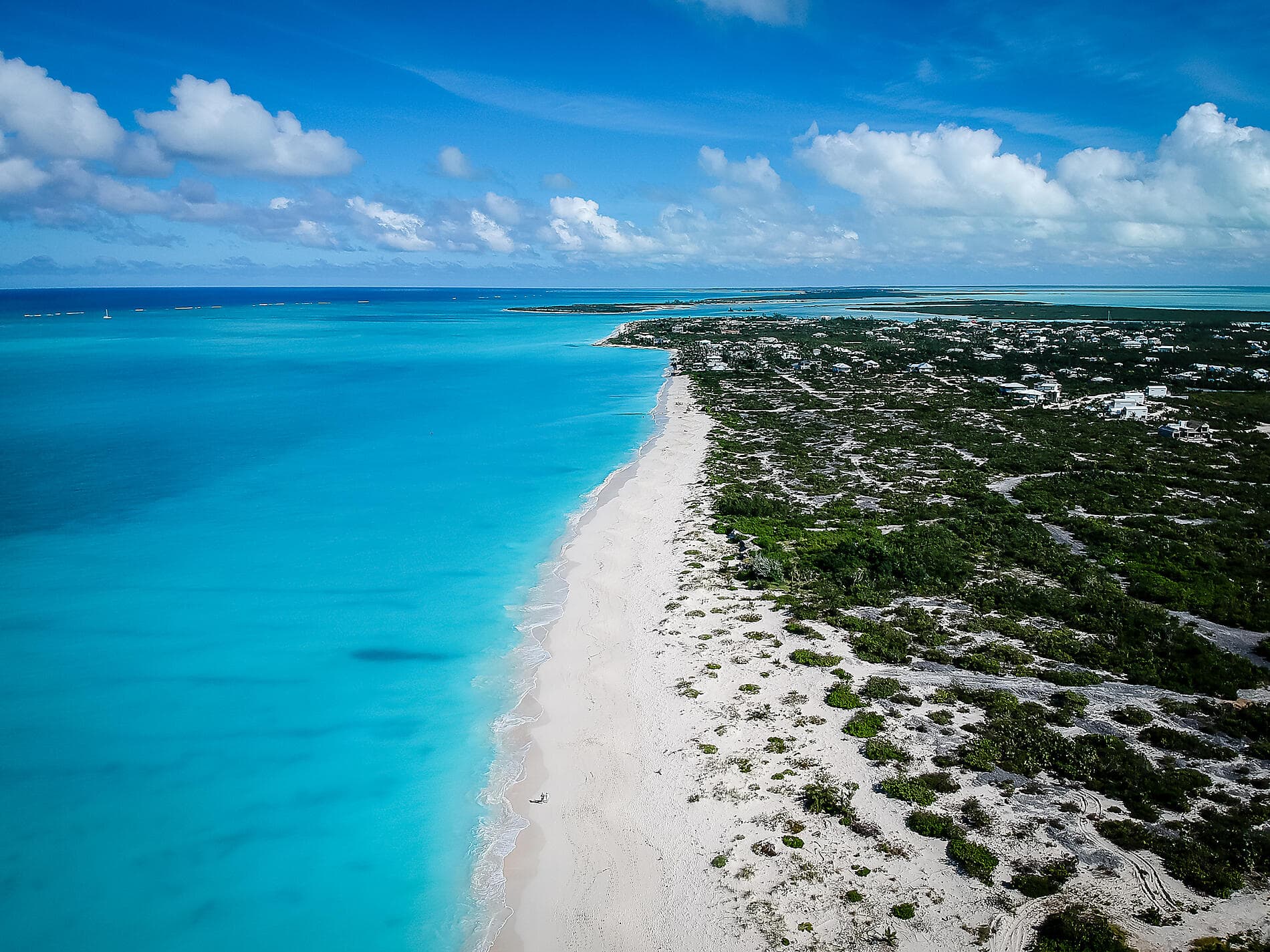 Joyaux du nord des Caraïbes 