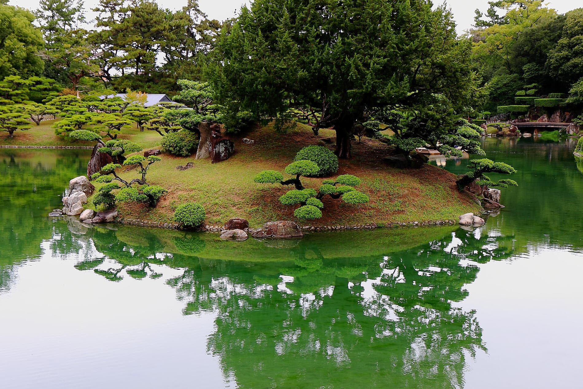 L’essentiel du Japon 