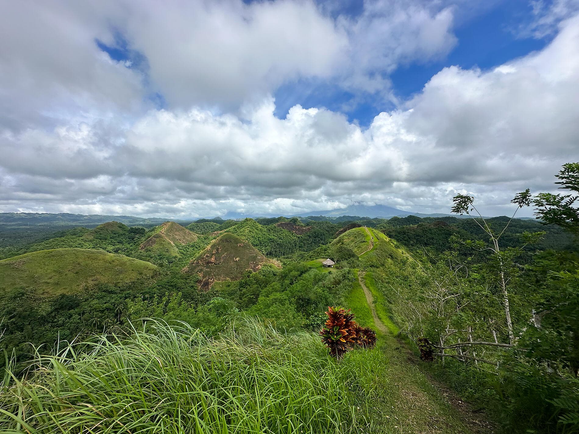Secrets de l’archipel des Visayas 