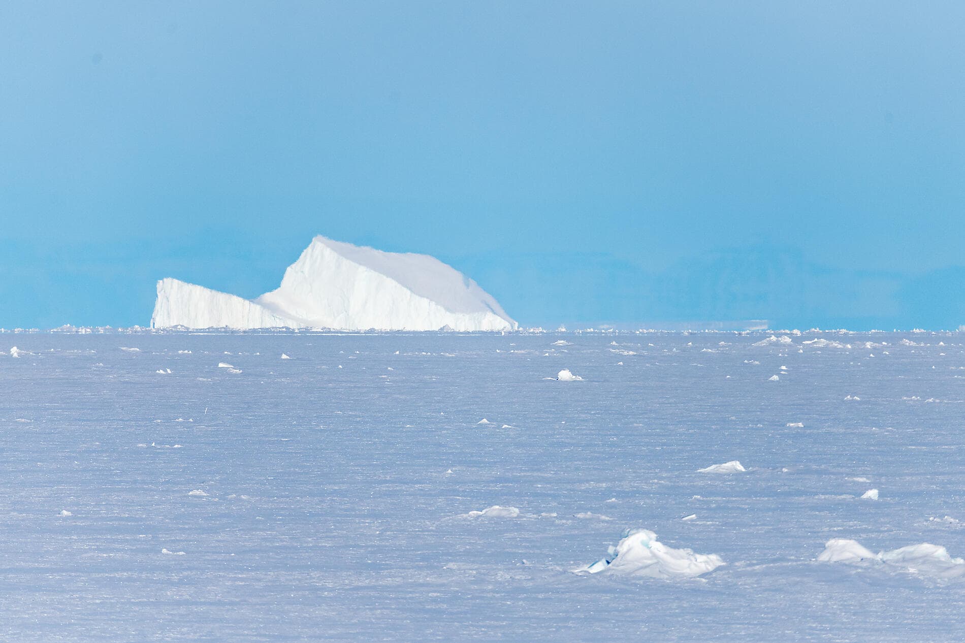 Aux confins du Grand Nord Arctique 