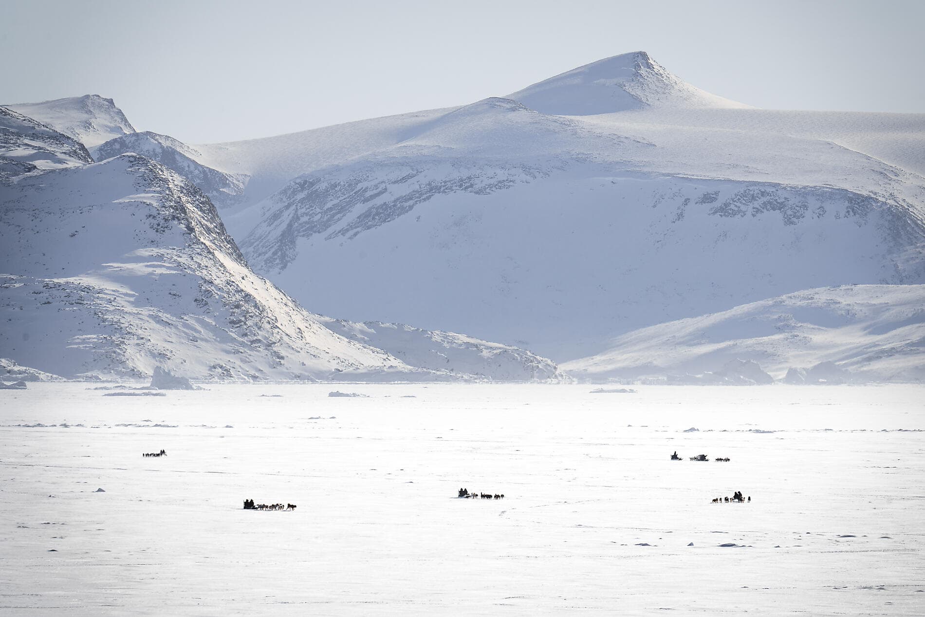 Aux confins du Grand Nord Arctique 
