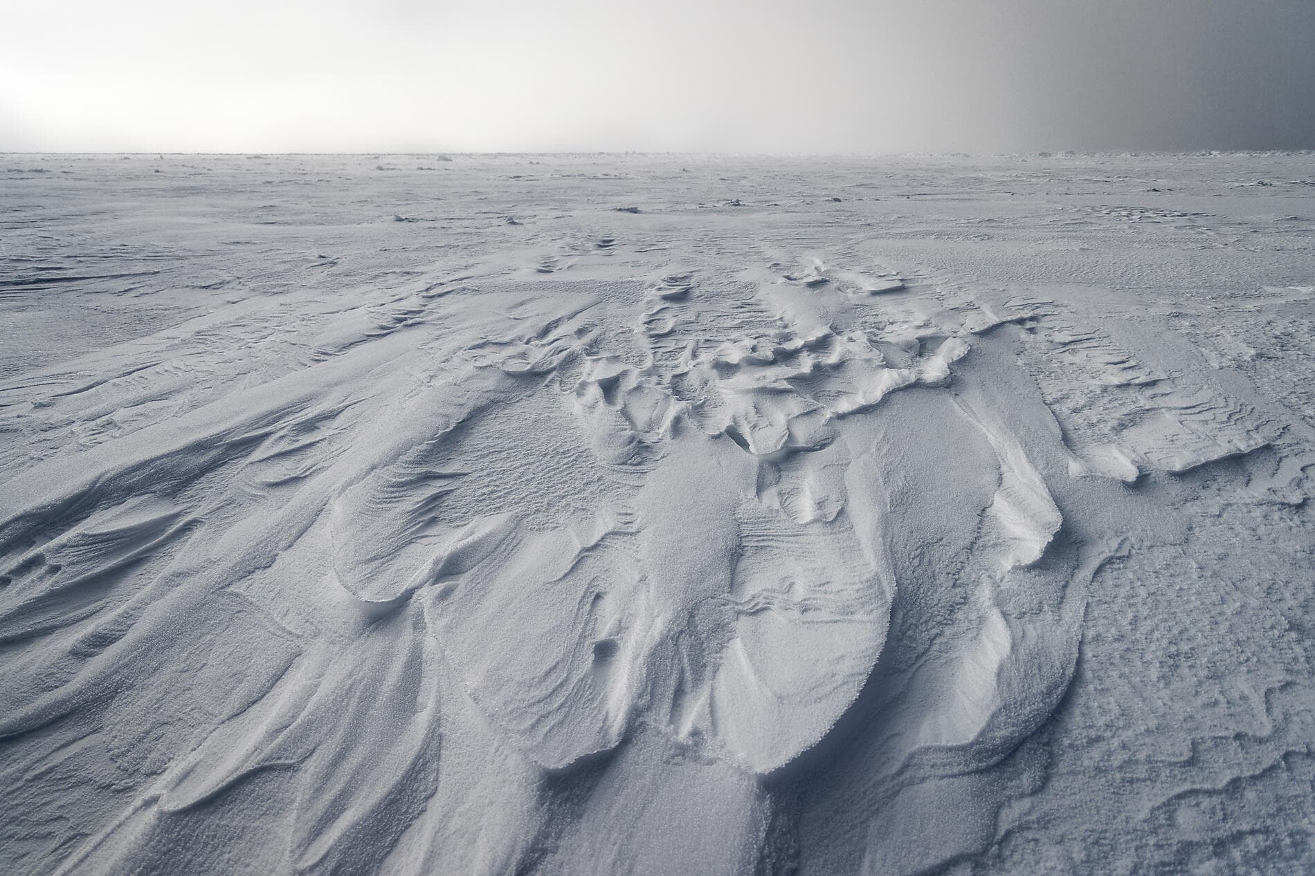 Aux confins du Grand Nord Arctique 
