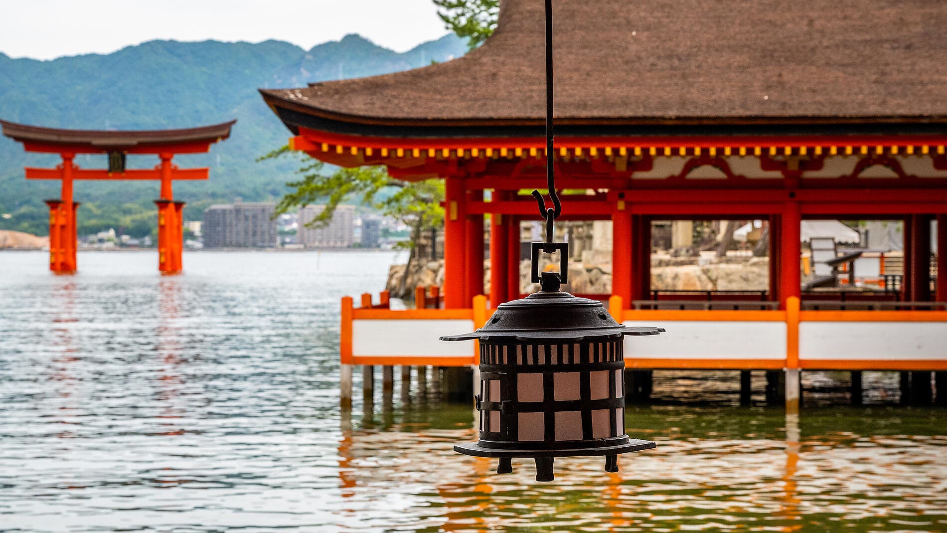 Au cœur du Japon authentique