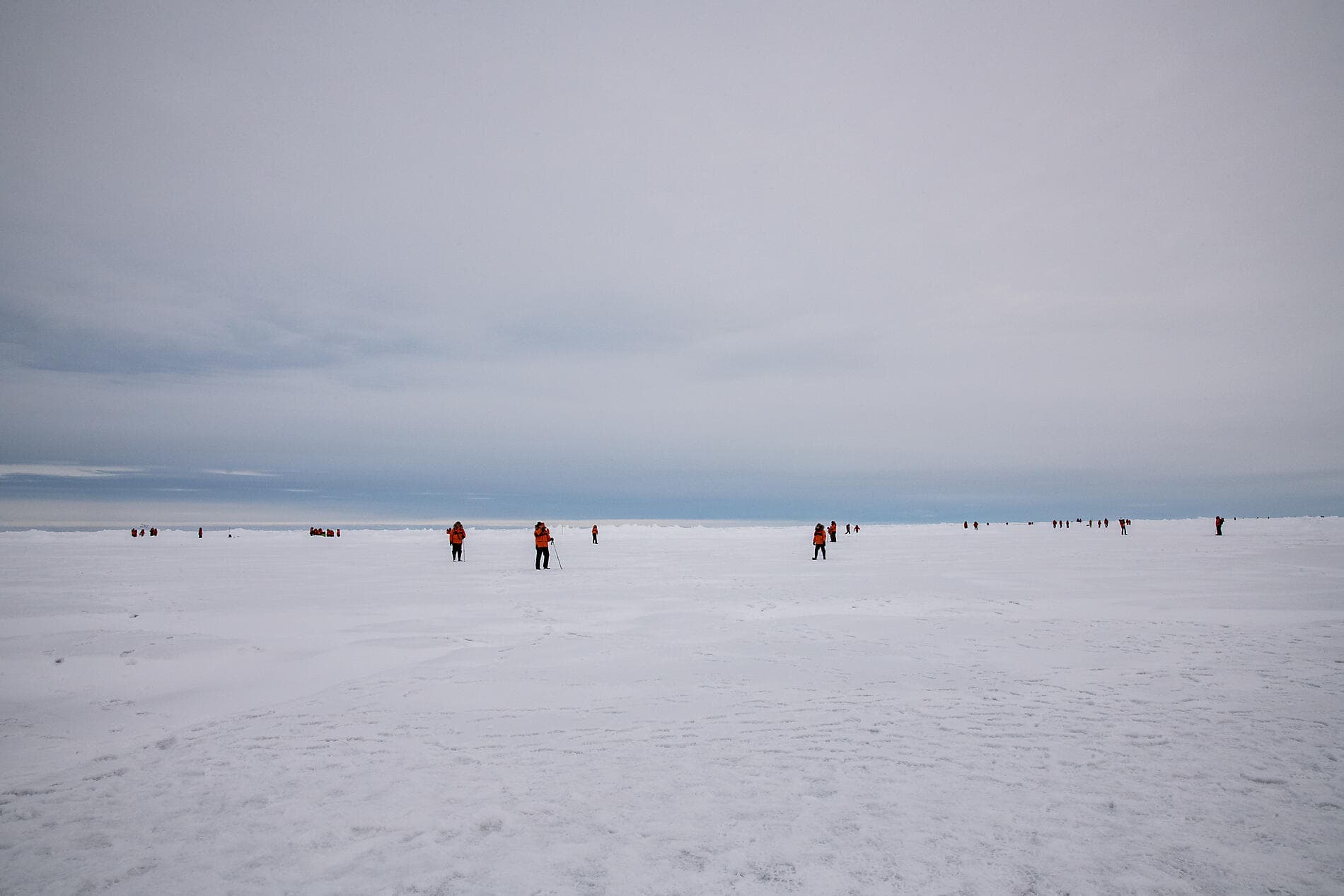 Le pôle Nord géographique et exploration du Groenland septentrional