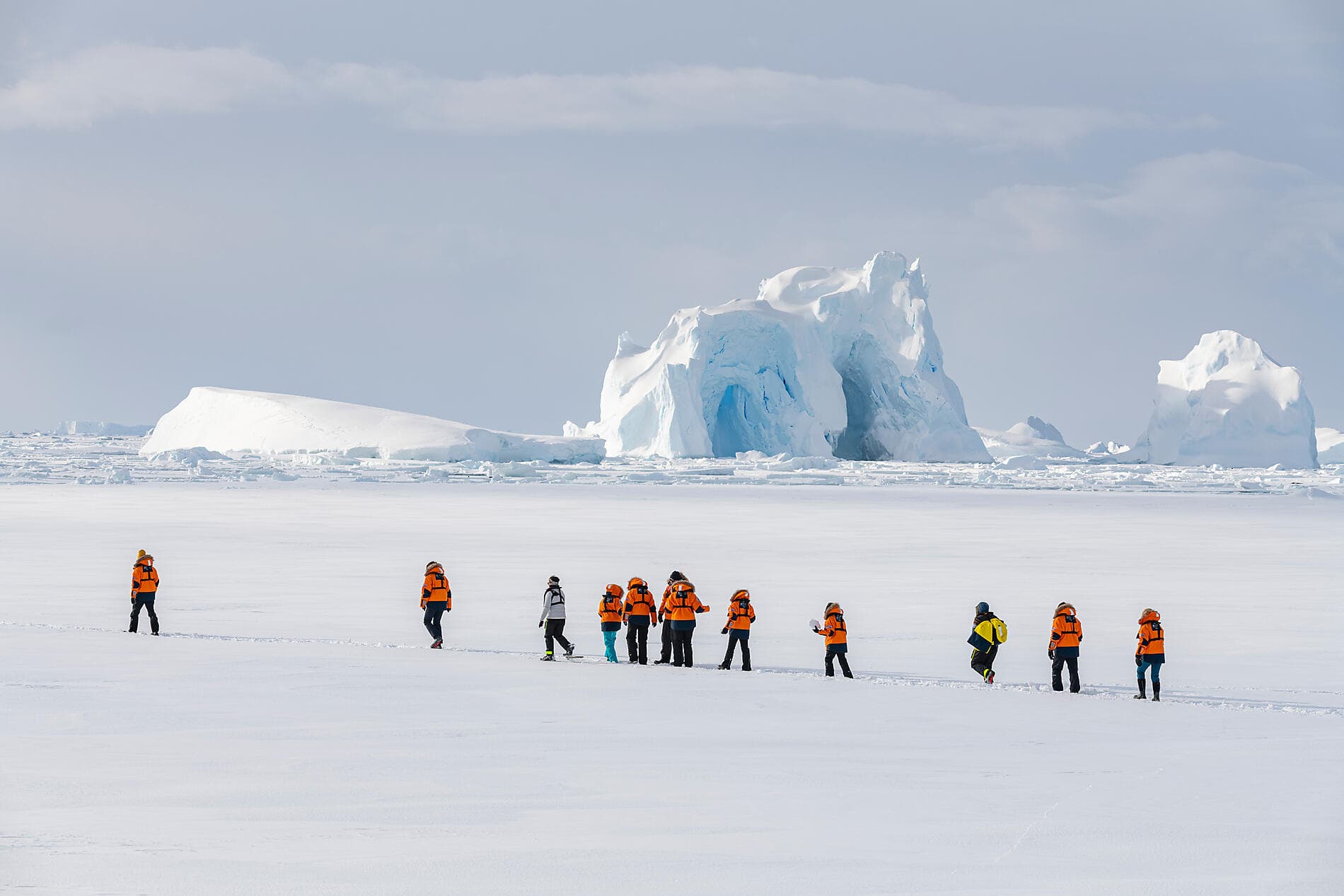 Cap sur les glaces de la mythique mer de Weddell 