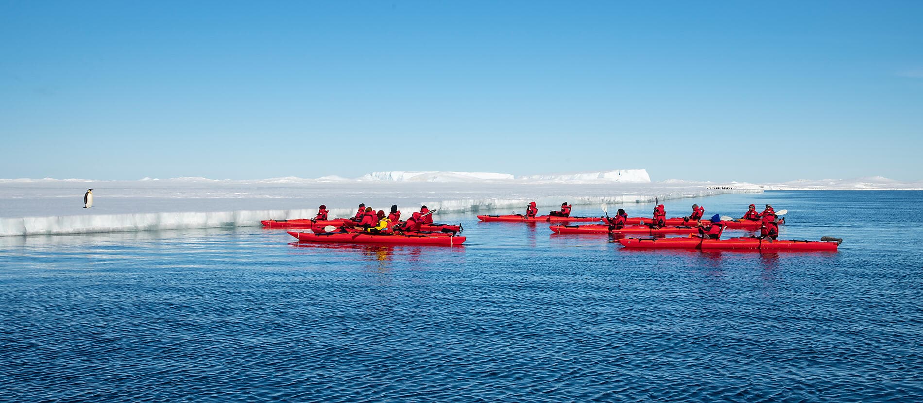 Cap sur les glaces de la mythique mer de Weddell 