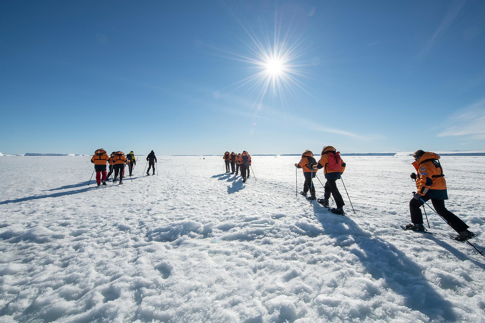 Mer de Weddell et plateformes de glace de Larsen 