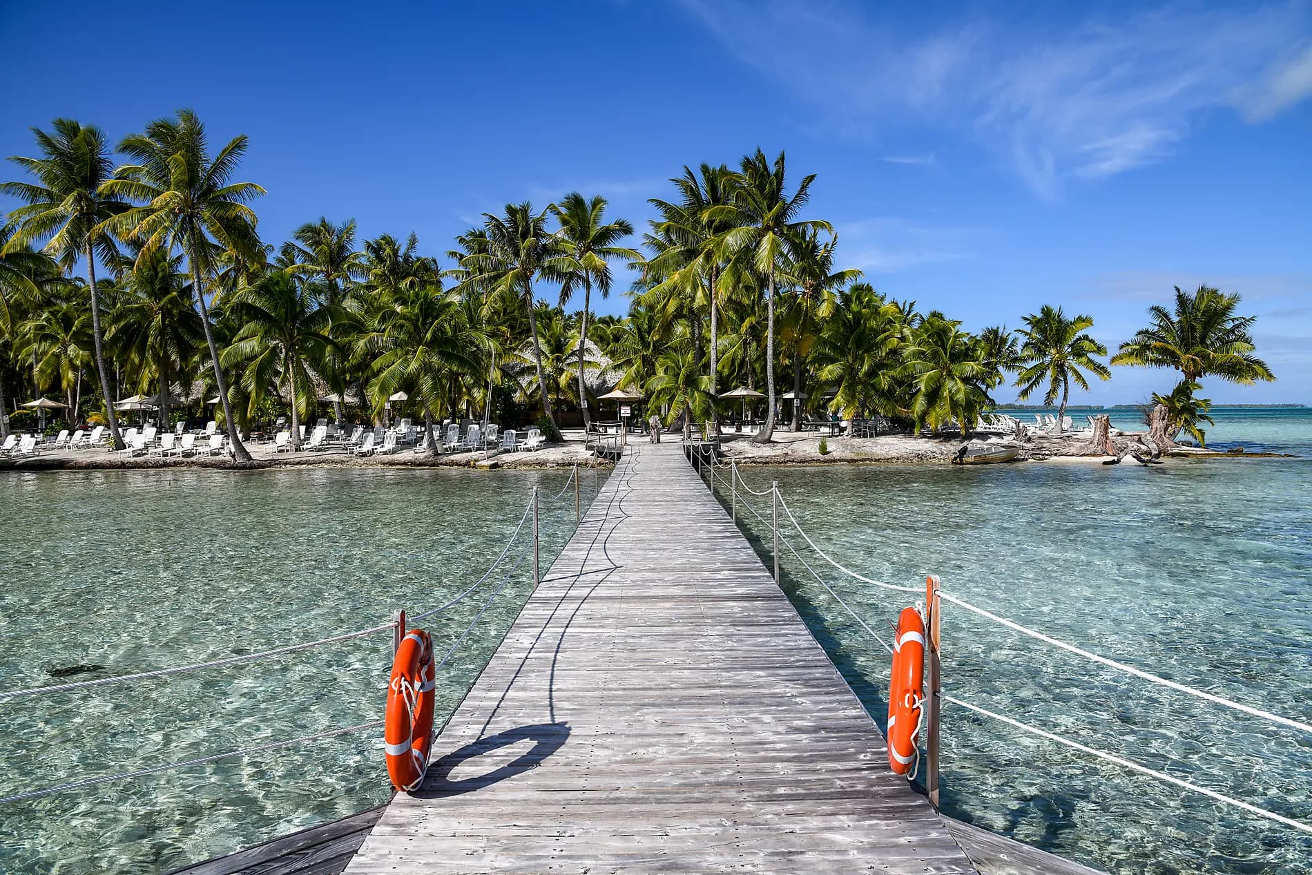 Perles des îles de la Société